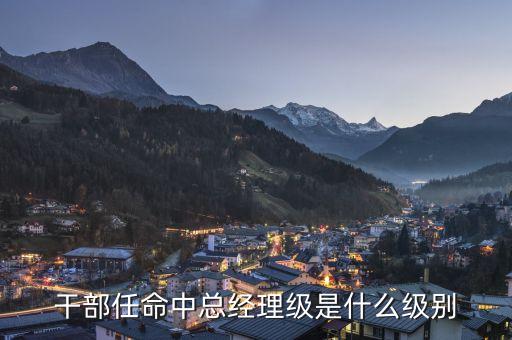 華僑城集團總經(jīng)理是什么級別，干部任命中總經(jīng)理級是什么級別