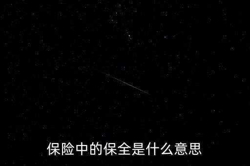 保險(xiǎn)保全是什么，保險(xiǎn)中的保全是什么意思