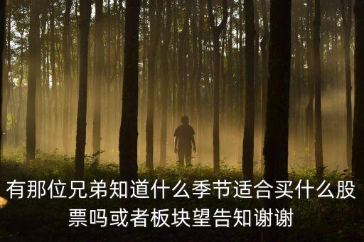 秋天什么股，秋季什么板塊股票好