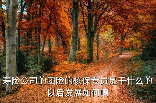 團險專員都做什么，團險專員做什么