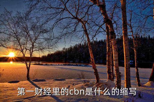 cbn在物流業(yè)中是什么意思，服裝里CBN是什么意思