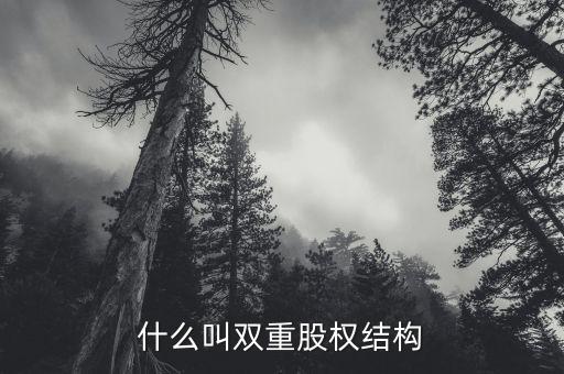 什么是雙層董事會，家長不提供學(xué)習(xí)費(fèi)用能否貸款
