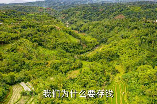 存錢有什么理由，我們?yōu)槭裁匆驽X
