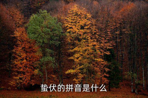 人的蟄伏期是什么，寂寂人定初中的人定是什么時(shí)候用天干地支中的回答相當(dāng)