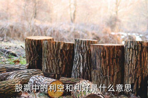 股票利好是什么意思，股票利空利好啥意思多謝