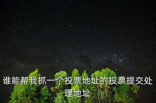 投票提交處理地址是什么，提交投票的問題怎么處理