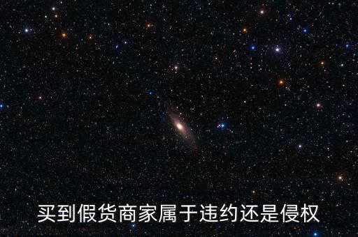 假進(jìn)口商家承擔(dān)什么責(zé)任，商家銷售假冒商品市場管理方要承擔(dān)多大的管理責(zé)任所在經(jīng)營地的