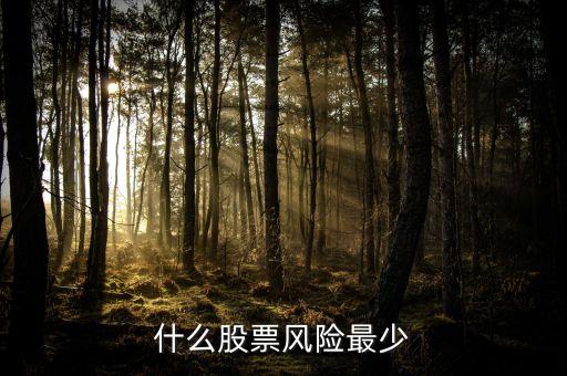 抄股什么樣的公司風(fēng)險(xiǎn)小，什么股票風(fēng)險(xiǎn)最少