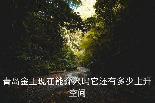 2015青島金王什么概念，青島金王現(xiàn)在能介入嗎它還有多少上升空間