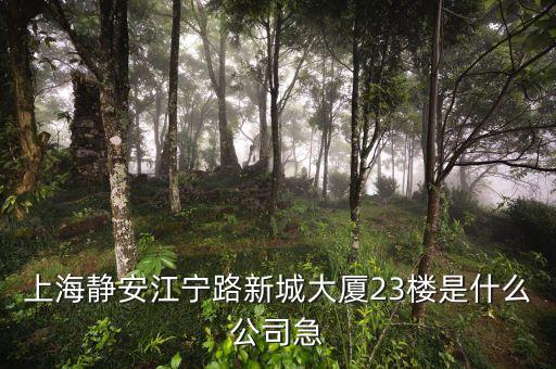 上海眾城大廈第23層是什么，上海浦東新區(qū)東方路818號眾城大廈1604室是什么公司啊
