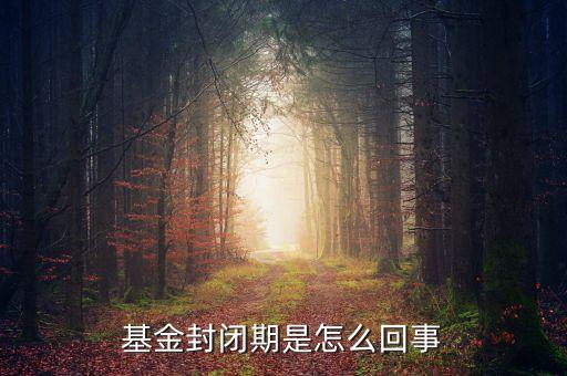 封閉式基金為什么要封閉，為什么認(rèn)購(gòu)基金要封閉期封閉期是3個(gè)月內(nèi)不得提現(xiàn)