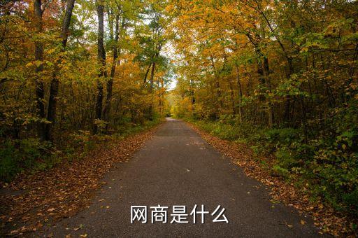 dt網(wǎng)商是什么，網(wǎng)商是什么