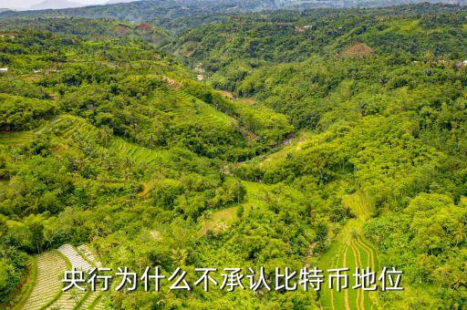 為什么中央不承認(rèn)比特，中美為什么不承認(rèn)比特幣的合法性