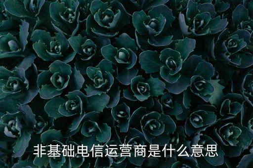 什么是基礎(chǔ)電信運(yùn)營商，請問基礎(chǔ)電信企業(yè)是不是就是指幾大電信運(yùn)營商啊不勝感激