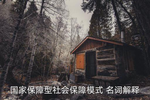 保障型保險(xiǎn)什么意思，國家保障型社會保障模式 名詞解釋