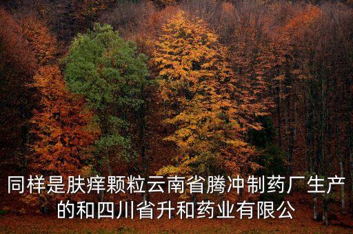 騰沖制藥廠是什么企業(yè)，云南騰沖制藥廠制造的人參再造丸