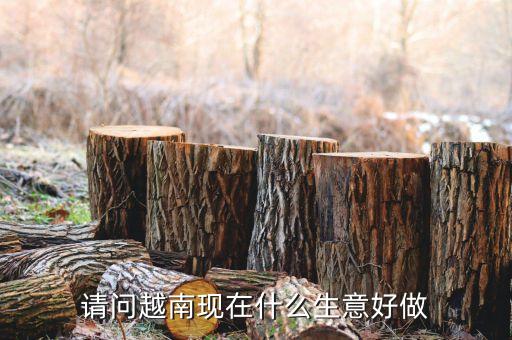 請(qǐng)問越南現(xiàn)在什么生意好做