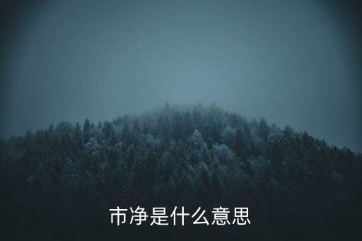 什么叫市凈率，什么是市凈率和市盈率