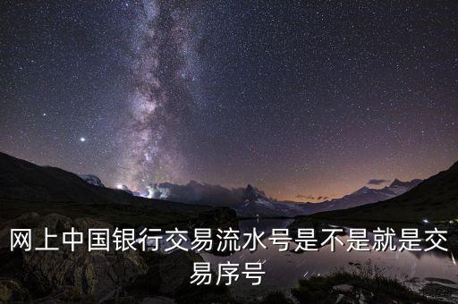 中國銀行企業(yè)網(wǎng)銀轉(zhuǎn)賬批次號(hào)什么意思，企業(yè)網(wǎng)銀客戶號(hào)是什么意思