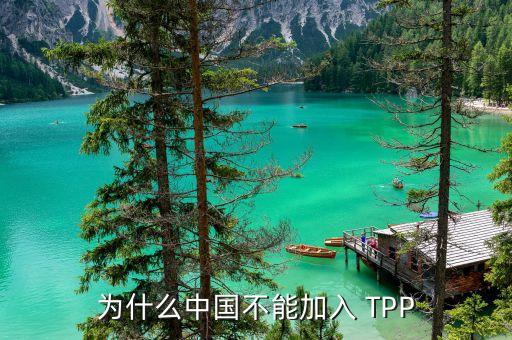 中國加入不了tpp的原因是什么，為什么中國不能加入 TPP