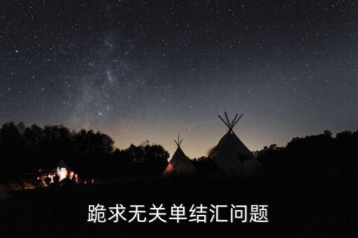 跪求無(wú)關(guān)單結(jié)匯問題