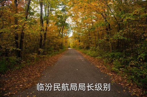 民航總局老干部局局長是什么級別，臨汾民航局局長級別