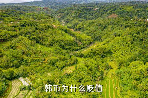 2016韓元為什么對(duì)人民幣貶值，韓幣為什么貶值