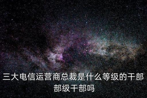 溫冬芬是什么級別，安徽省天長市市委書記的行政級別是什么