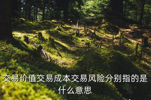 交易成本是什么，什么是交易費(fèi)用