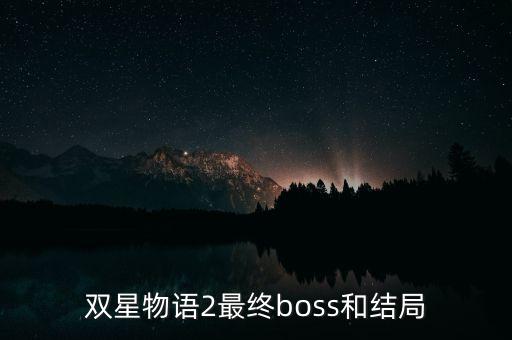 雙星汪海干什么去了，雙星 董事長