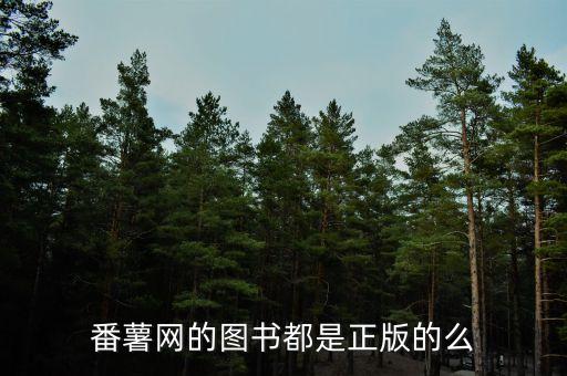 方正番薯什么公司，方正集團(tuán)怎么樣
