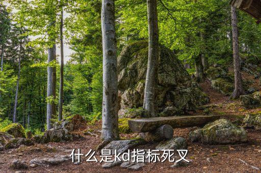 什么是kdj死叉，股票KDJ死叉什么意思
