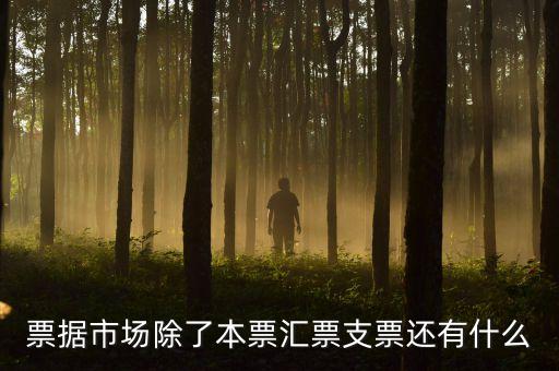 票據(jù)市場(chǎng)是各類(lèi)票據(jù)什么的，票據(jù)貼現(xiàn)市場(chǎng)屬于貨幣市場(chǎng)嗎