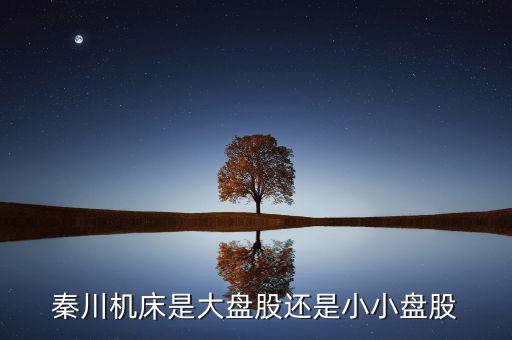 秦川機床是什么板塊的，600248是屬于什么板塊的股有潛力沒的能看高到多少價位