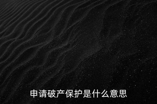 申請破產(chǎn)保護是什么意思