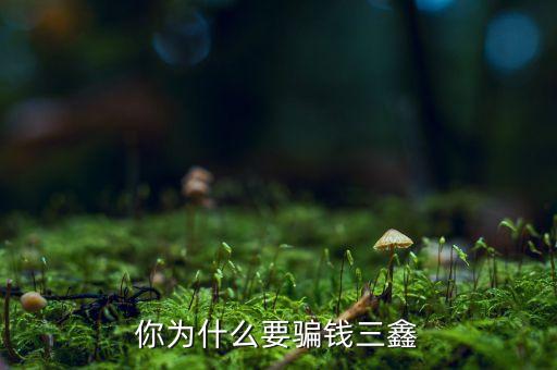 為什么中航三鑫，你為什么要騙錢三鑫