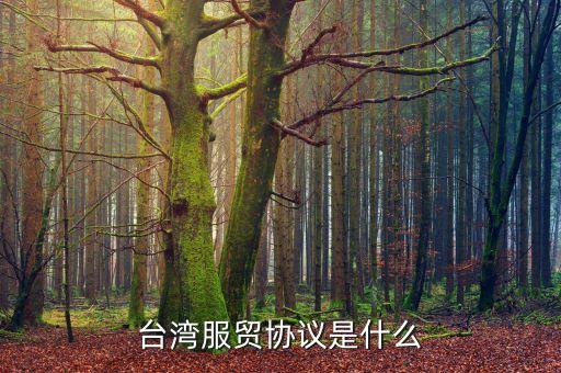 臺灣服務(wù)貿(mào)易協(xié)定是什么，臺灣服貿(mào)協(xié)議是什么