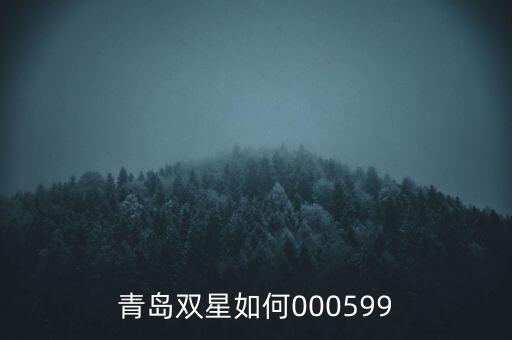 000599青島雙星集團(tuán)是什么感受，青島雙星如何000599