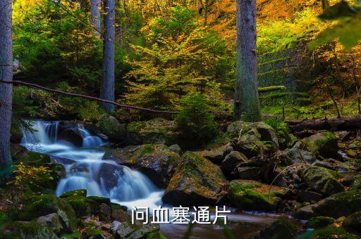 血塞通是什么藥，問血塞通片