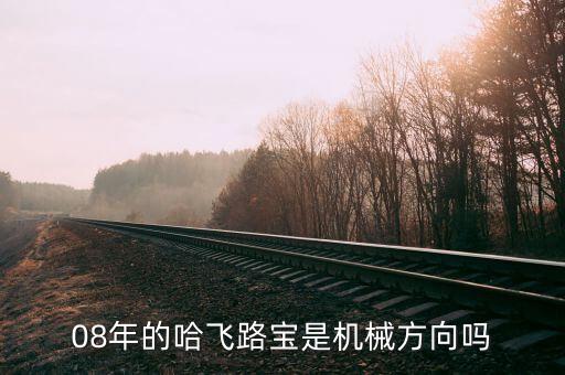 哈飛集團用什么專業(yè)，08年的哈飛路寶是機械方向嗎