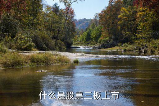 三板做市是什么意思，三板做市三板成指分別是什么意思