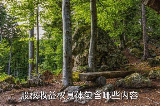 股權收益權具體包含哪些內(nèi)容