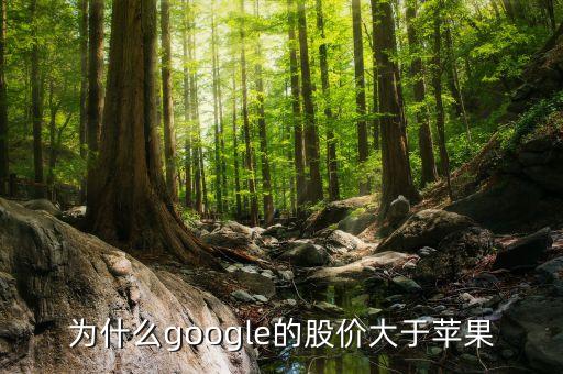 為什么google股票比apple貴，為什么微軟的股價比硅谷其他巨頭比如蘋果Google低那么多