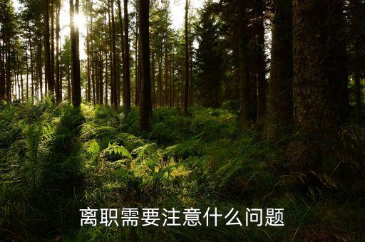 華北制藥辭職需要注意什么，辭職應(yīng)該注意些什么呢