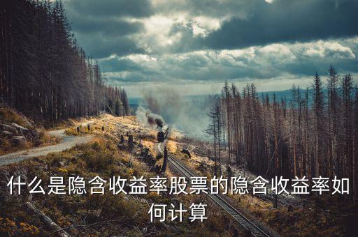 亞普汽車什么時候上市，誰知道隱含收益率是咋的回事的啊