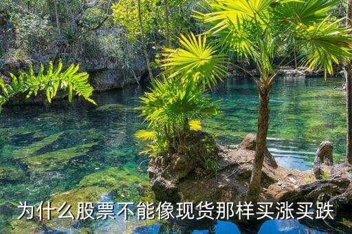 中國股市為什么不能買跌，股票不是可以先賣后買嗎這不是買跌嗎那為什么別人都說不能買