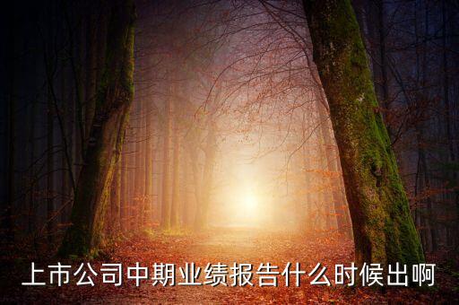中報業(yè)績最晚什么時間公布，規(guī)定股票中報什么時候出