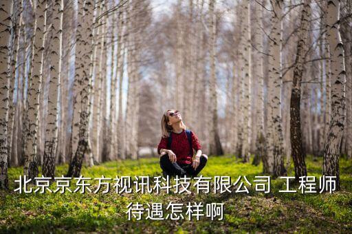 京東方視迅是什么公司，北京京東方視訊科技有限公司 工程師待遇怎樣啊