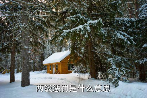 比亞迪二級處罰是什么，兩級懲罰是什么意思