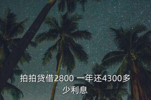 什么是拍拍貸，拍拍貸借2800 一年還4300多少利息